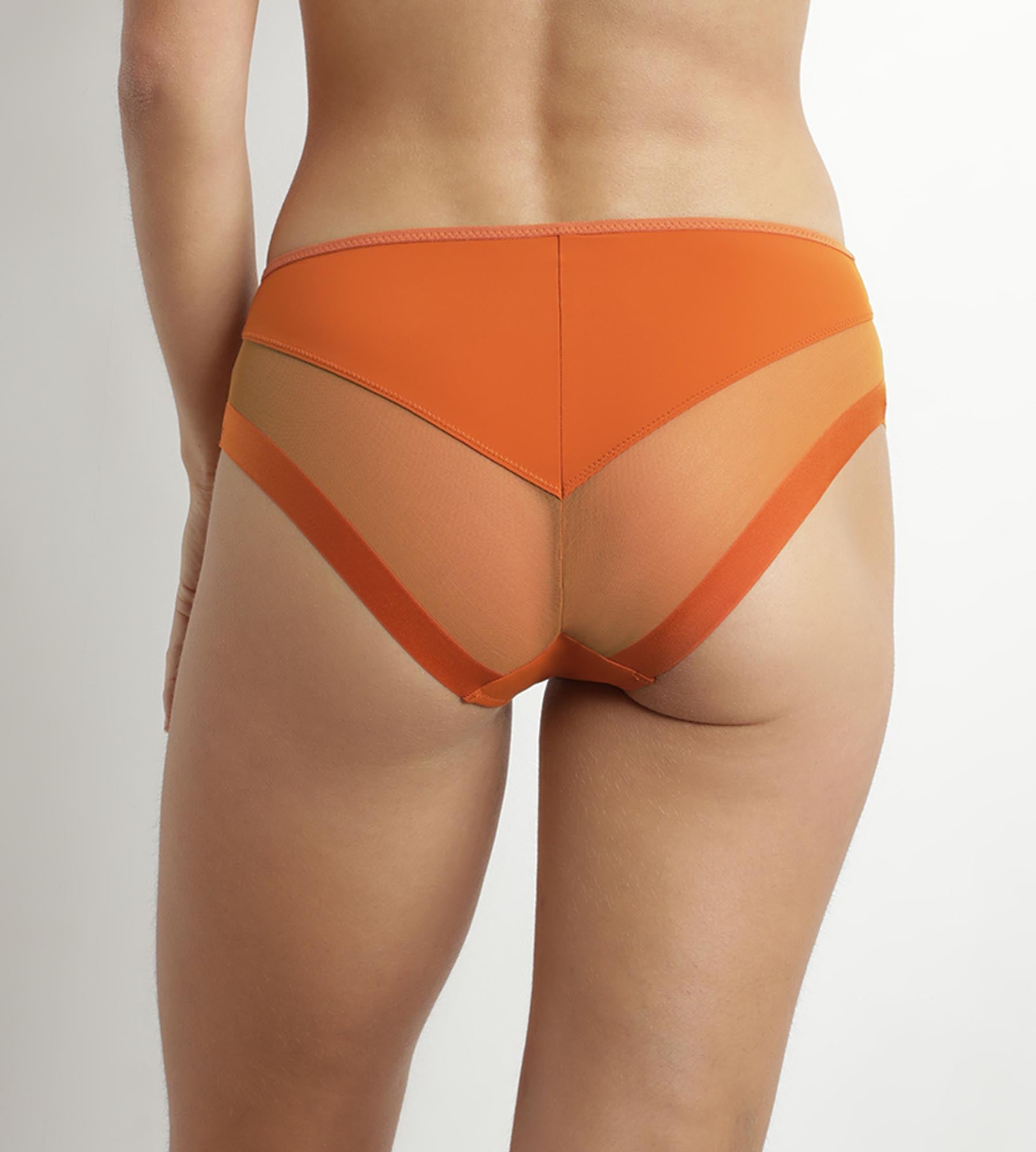DIM Women's briefs in microfiber and tulle Mandarine Dim Generous