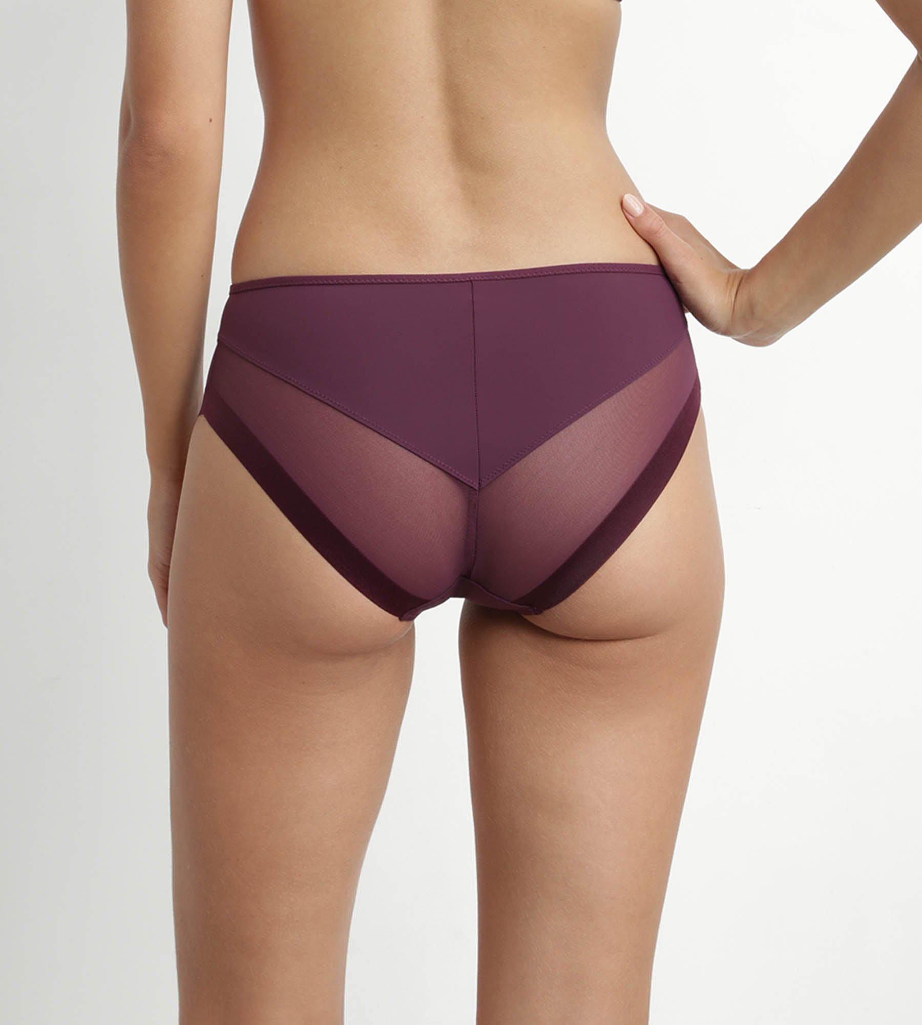 DIM Microfiber and tulle briefs Prune Dim Generous