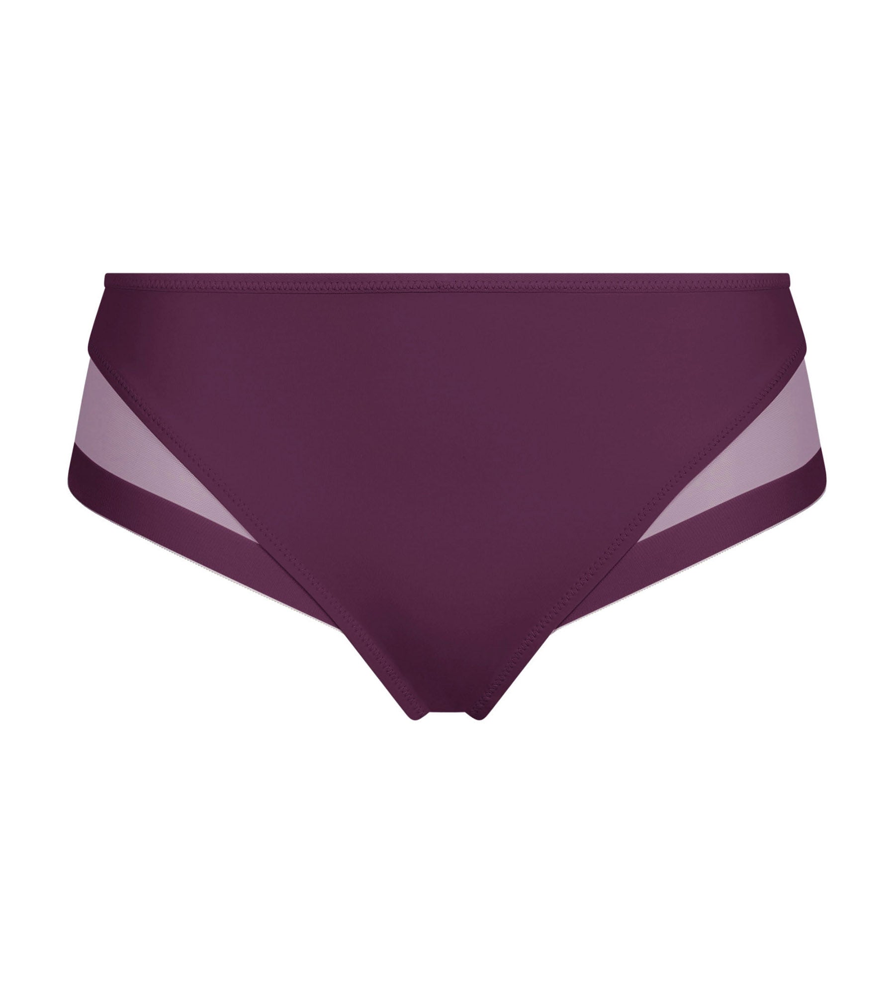 DIM Microfiber and tulle briefs Prune Dim Generous