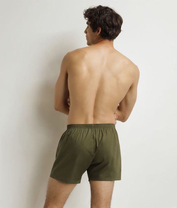 DIM Pack of 2 Beige Striped Green Stretch Cotton Men's Boxer Briefs