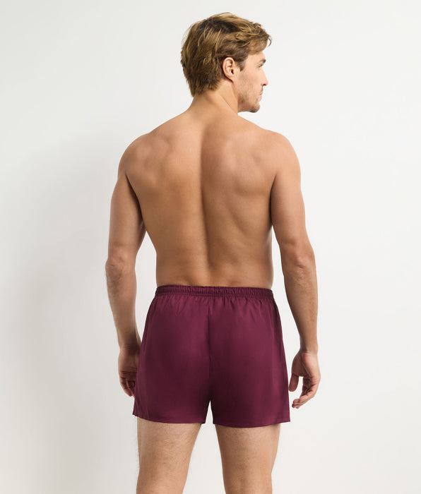 DIM Pack of 2 Blue Striped Red Stretch Cotton Men's Boxer Briefs