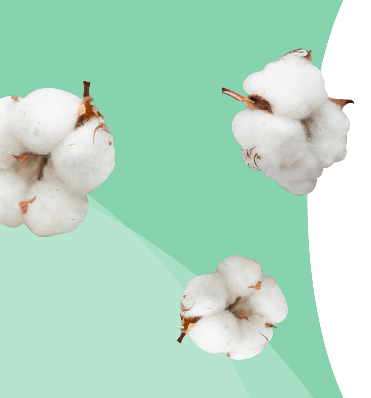 Culottes menstruelles écologiques et réutilisables | DIM